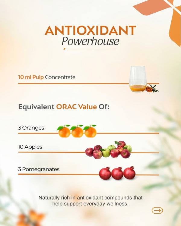Akayu Sea Buckthorn Pulp 300ml