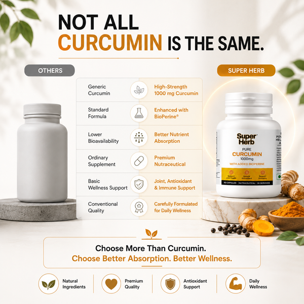 Pure Curcumin- 1000mg